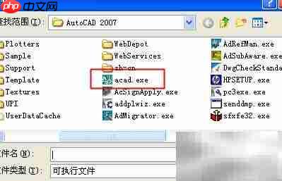 解决访问违规写入错误