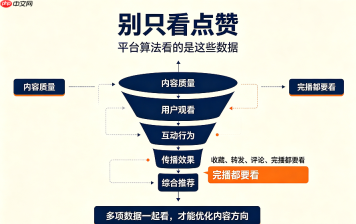 别只看点赞！自媒体互动数据暗藏玄机，看懂才会做流量