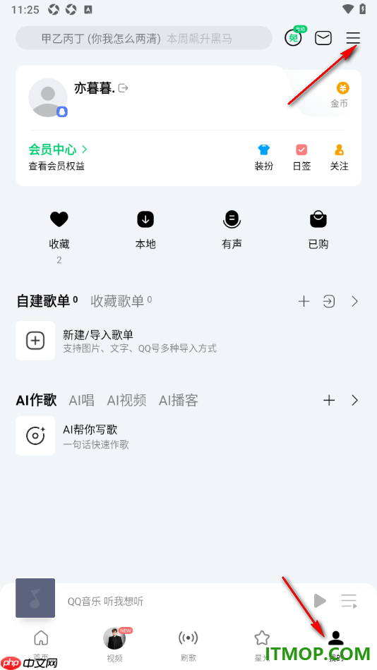 qq音乐手机版设置启用车载蓝牙歌词功能的方法