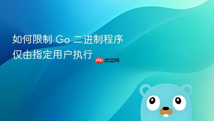 如何限制 Go 二进制程序仅由指定用户执行