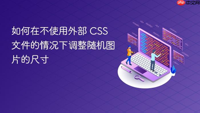 如何在不使用外部 CSS 文件的情况下调整随机图片的尺寸