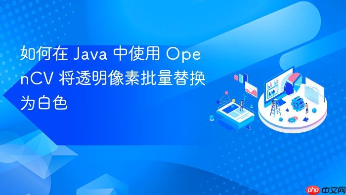 如何在 Java 中使用 OpenCV 将透明像素批量替换为白色