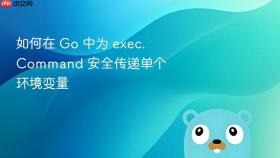如何在 Go 中为 exec.Command 安全传递单个环境变量
