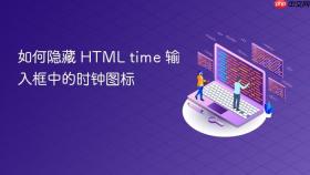 如何隐藏 HTML time 输入框中的时钟图标
