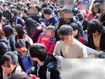 小学教资面试通关指南