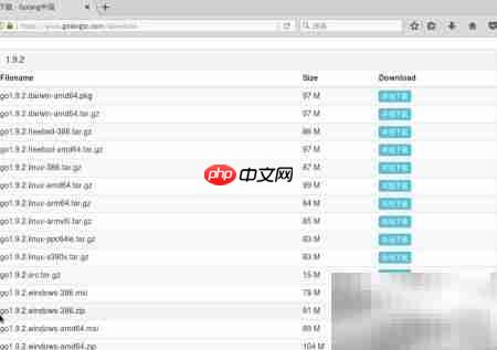 Debian安装Go语言开发环境