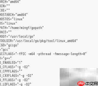 Debian安装Go语言开发环境