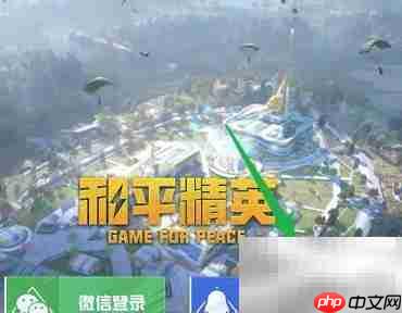 和平精英手册积分查询方法