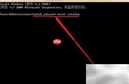 LSP修复方法指南