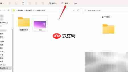 资源管理器文件详情展示