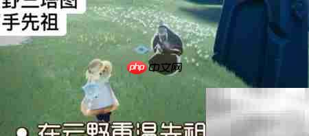 光遇9.6每日任务速通指南