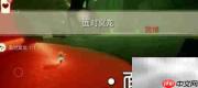 光遇9.6每日任务速通指南