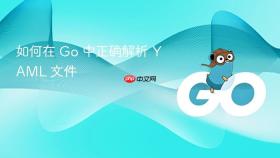 如何在 Go 中正确解析 YAML 文件
