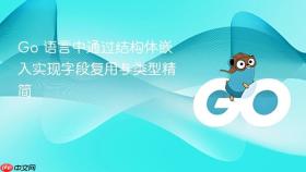 Go 语言中通过结构体嵌入实现字段复用与类型精简
