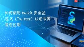 如何使用 twikit 安全验证 X（Twitter）认证令牌是否过期