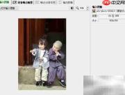 Neat Image工具栏提示设置