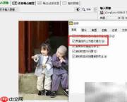 Neat Image工具栏提示设置