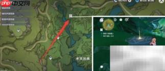 原神寻星之旅D3攻略