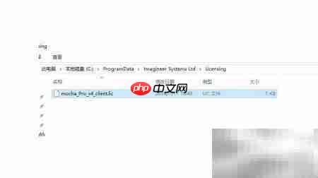 Mocha Pro v4汉化安装指南