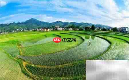 土地承包合同有效签订指南