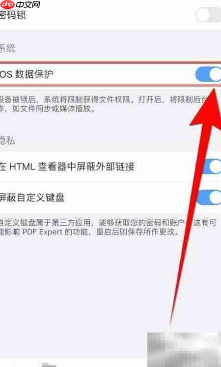 PDF Expert iOS数据保护设置