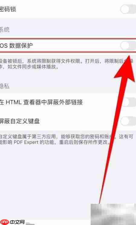 PDF Expert iOS数据保护设置