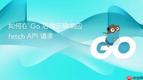 如何在 Go 后端正确响应 fetch API 请求