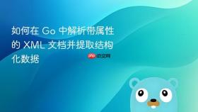 如何在 Go 中解析带属性的 XML 文档并提取结构化数据