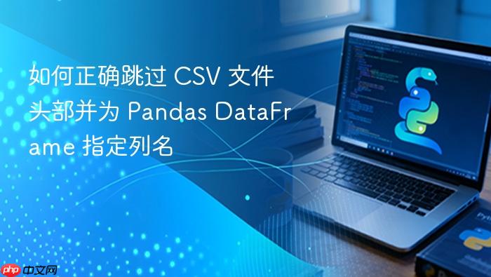 如何正确跳过 CSV 文件头部并为 Pandas DataFrame 指定列名