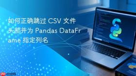 如何正确跳过 CSV 文件头部并为 Pandas DataFrame 指定列名