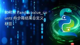如何为 Pandas value_counts 的分箱结果自定义标签
