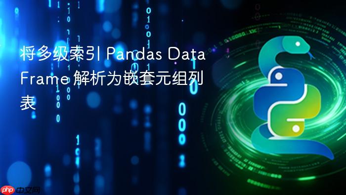 将多级索引 Pandas DataFrame 解析为嵌套元组列表