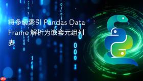 将多级索引 Pandas DataFrame 解析为嵌套元组列表