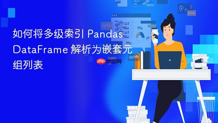 如何将多级索引 Pandas DataFrame 解析为嵌套元组列表