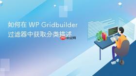 如何在 WP Gridbuilder 过滤器中获取分类描述