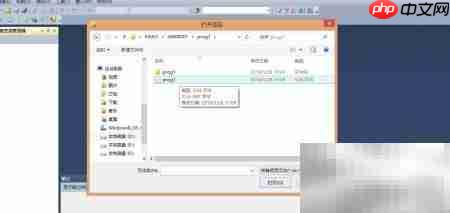 C程序设计与运行指南