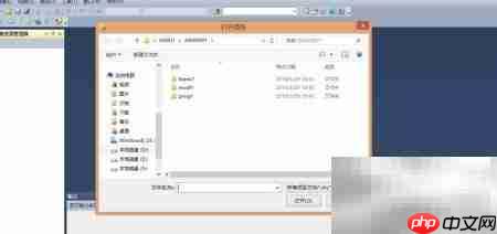C程序设计与运行指南