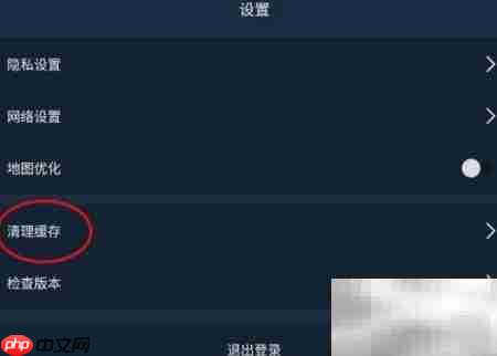 PIE Pilot图片缓存清理指南