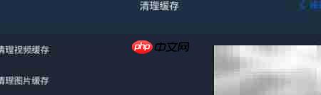 PIE Pilot图片缓存清理指南