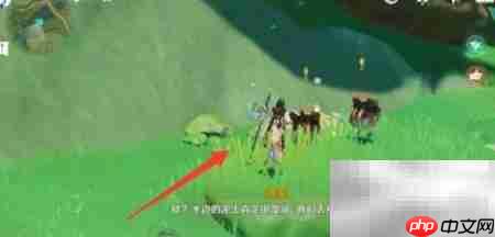 原神3.1凝成泥土任务攻略