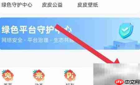 皮皮软件查看第三方SDK目录