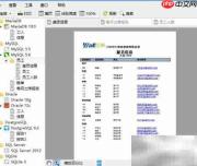 Navicat报表查看新功能解析