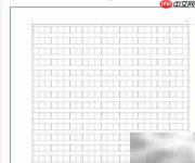 WORD中文字写入方格方法