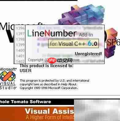 VC6安装Visual Assist X