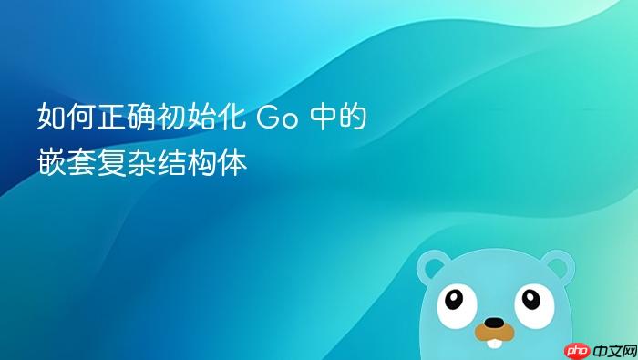 如何正确初始化 Go 中的嵌套复杂结构体
