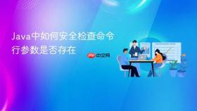 Java中如何安全检查命令行参数是否存在
