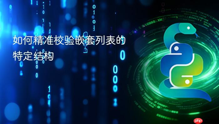 如何精准校验嵌套列表的特定结构
