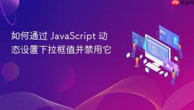 如何通过 JavaScript 动态设置下拉框值并禁用它