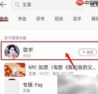 网易云乐迷团加入指南