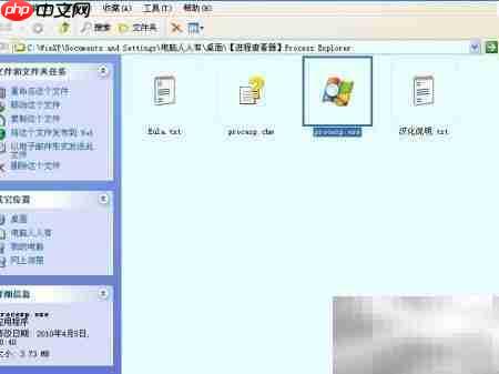 进程查看器软件